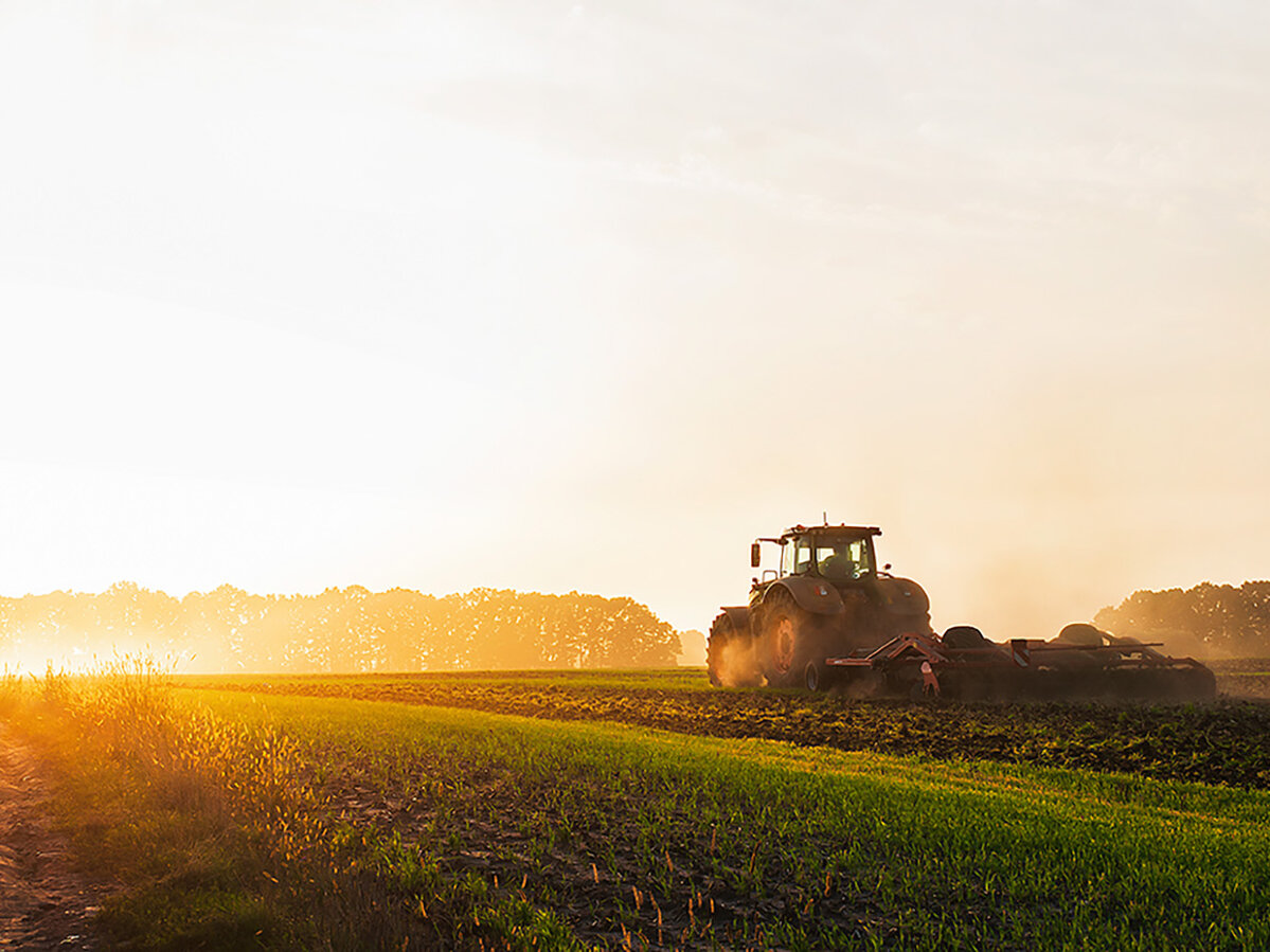 Ein Traktor pflügt in der Morgendämmerung auf einem Feld den Boden und sät Getreide aus.