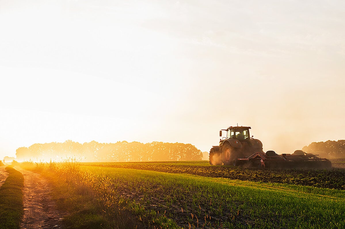 Ein Traktor pflügt in der Morgendämmerung auf einem Feld den Boden und sät Getreide aus.