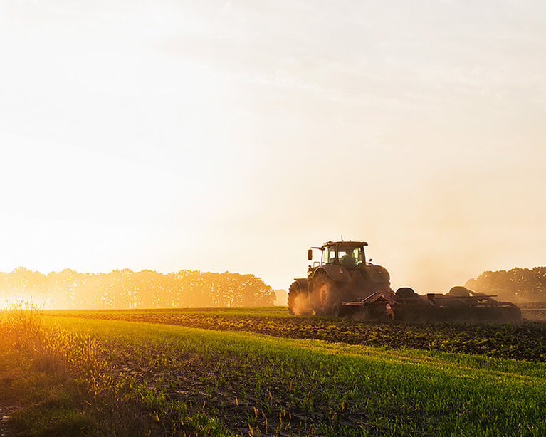 Ein Traktor pflügt in der Morgendämmerung auf einem Feld den Boden und sät Getreide aus.