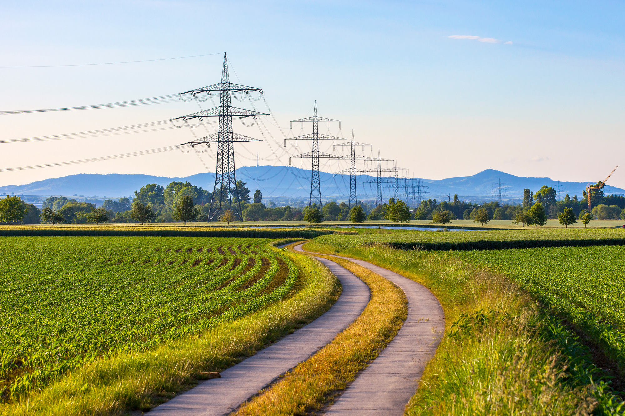 Strommasten an einem grünen Feld